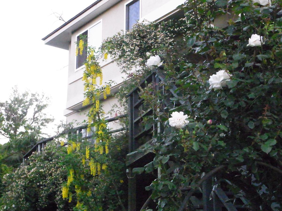 Chiisana Hotel Hanaikada 伊東市 エクステリア 写真